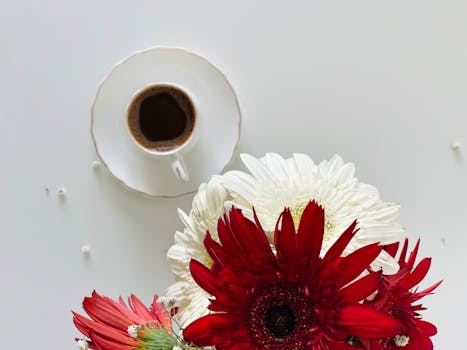 Stylish flat lay with coffee cup and red, white gerbera flowers against a white background.