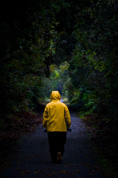 Free Person in yellow jacket walking alone on a forest path, surrounded by lush greenery in France. Stock Photo