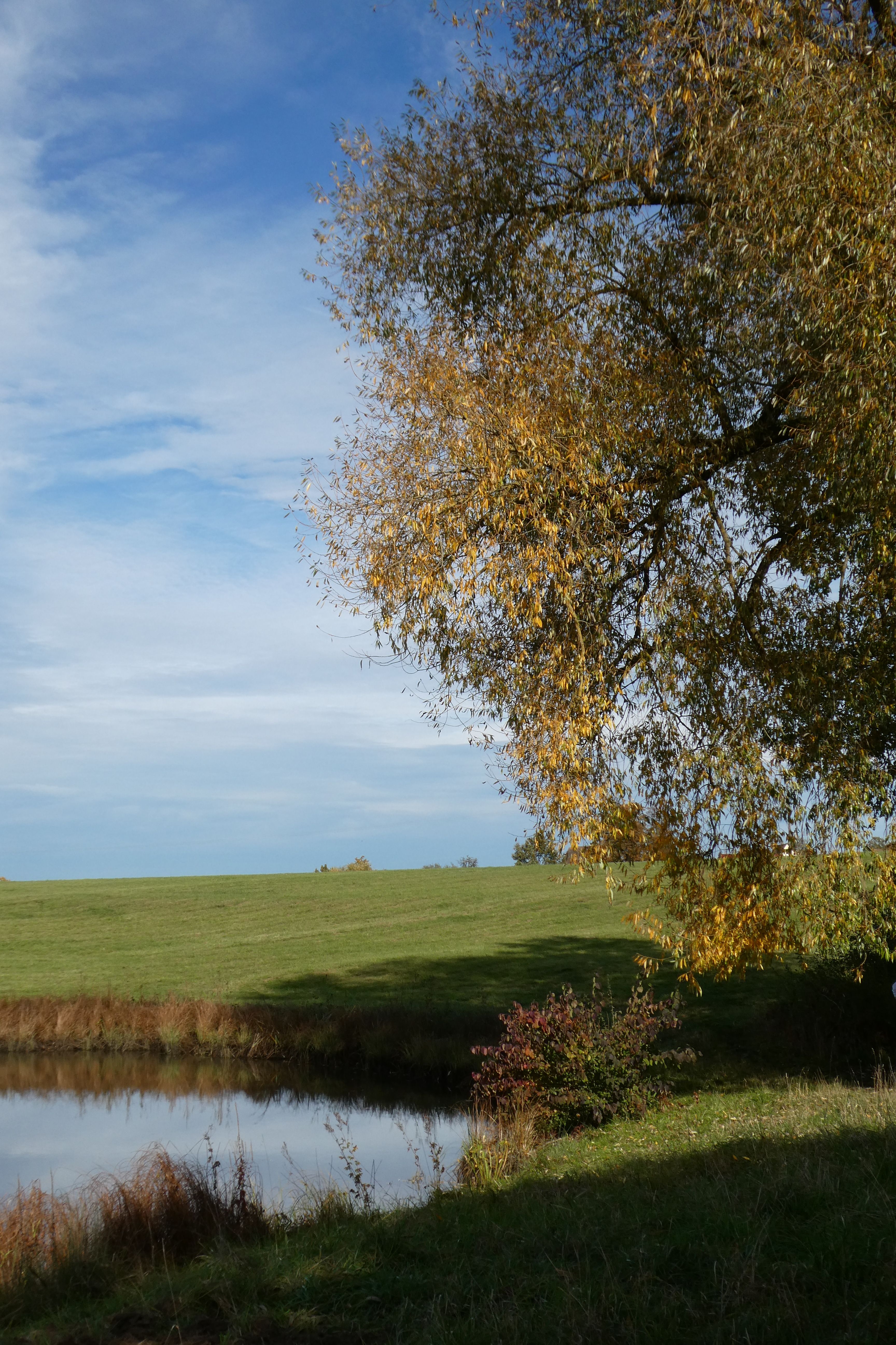 Scenic Autumn Landscape with Tranquil Lake · Free Stock Photo