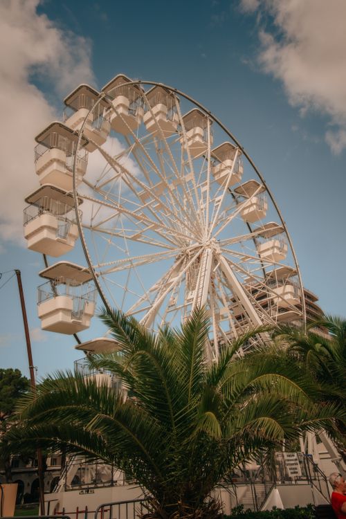 Free A grand Ferris wheel set against a blue sky with leafy palm trees, capturing a serene outdoor amusement feel. Stock Photo