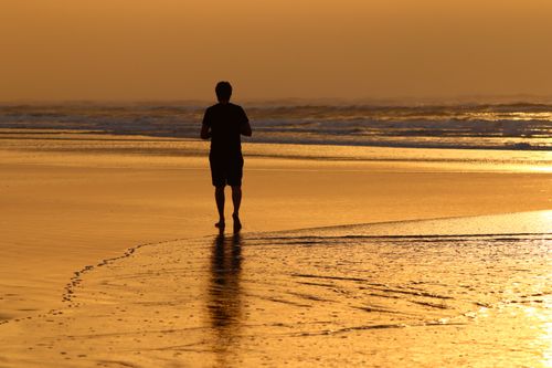 Free A person walking alone on a beach during sunset, with golden reflections on the sand. Stock Photo