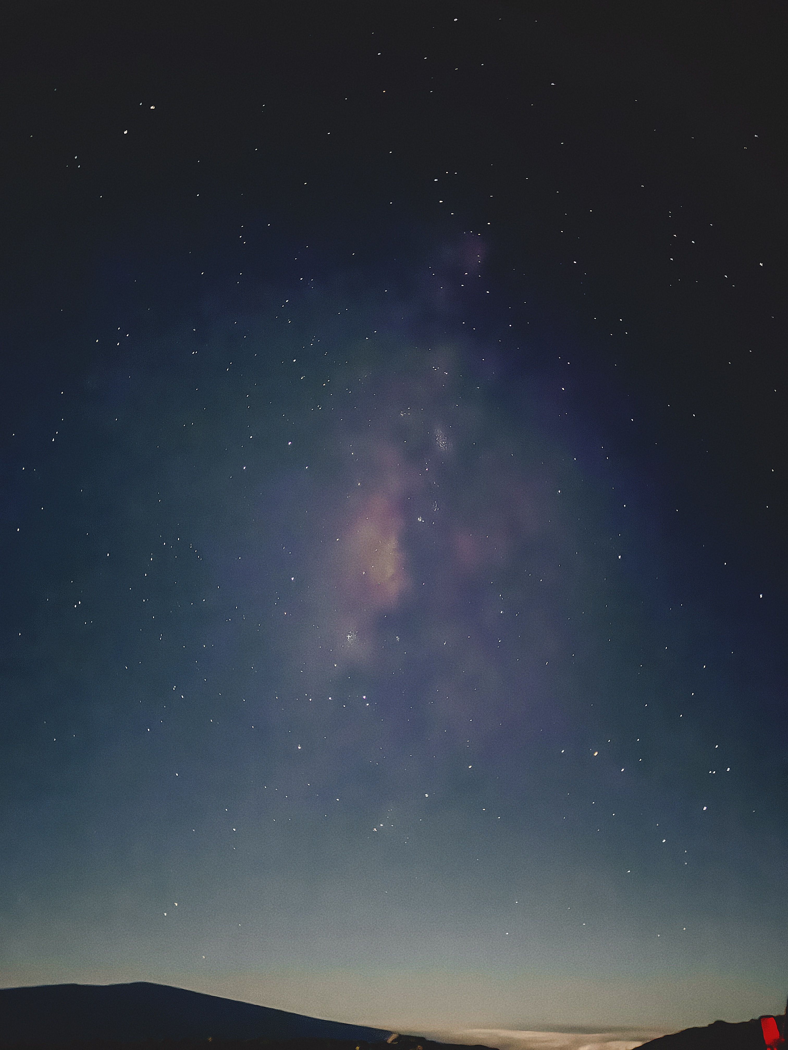Purple Sky over Meadow with Flowers at Night · Free Stock Photo