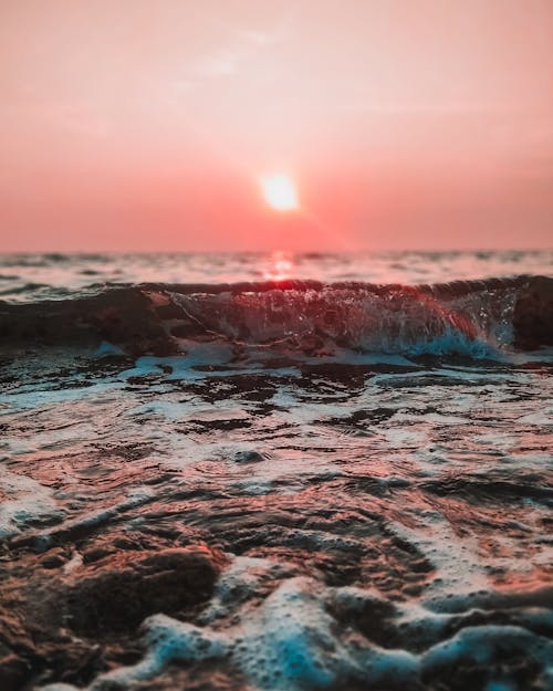 Free stock photo of ocean, sea, sun
