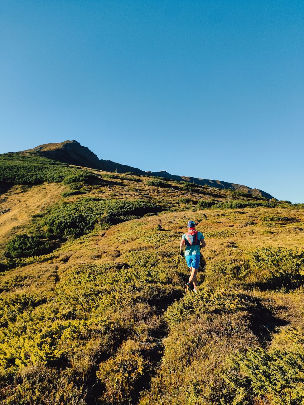 Coureur de trail sur un sommet de Charlevoix avec vue sur le fleuve Saint-Laurent