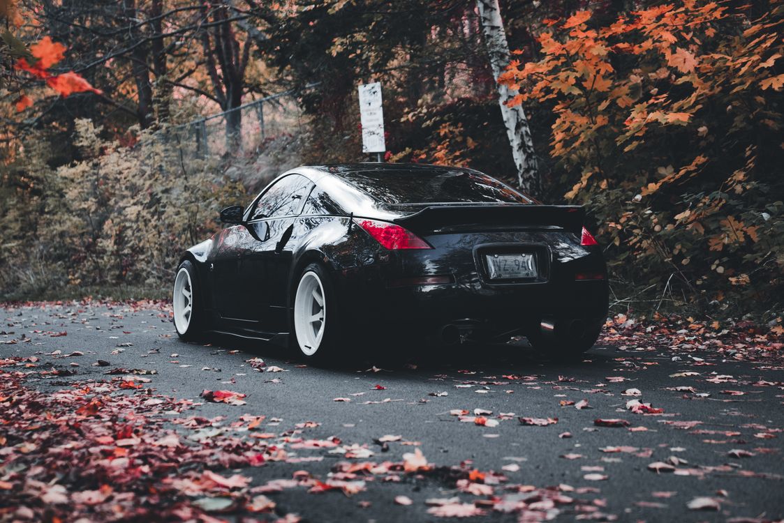Sleek Black Car in Autumn Forest Setting · Free Stock Photo