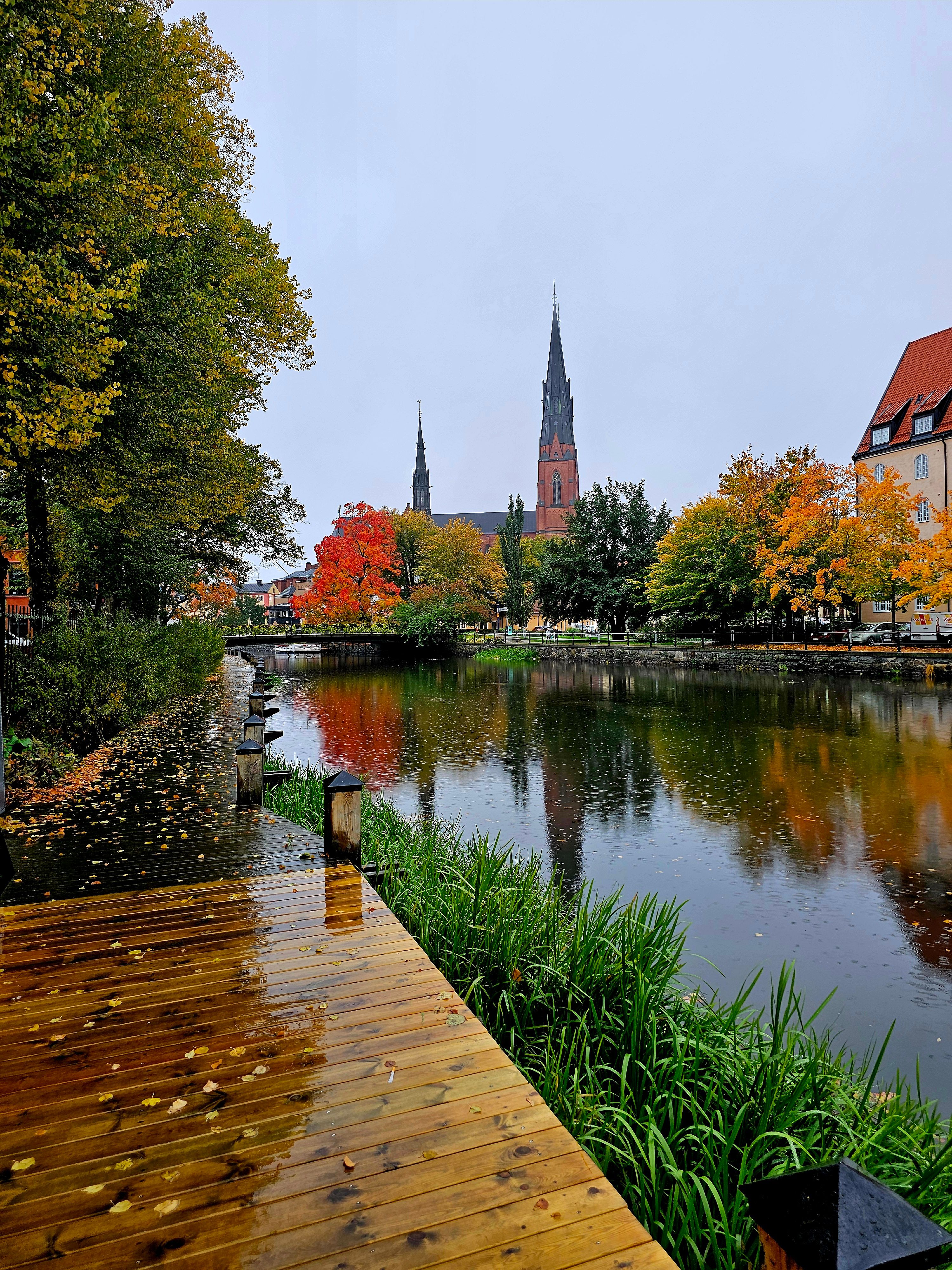 Redovisningskonsult Uppsala – vad företag bör tänka på innan de väljer hjälp