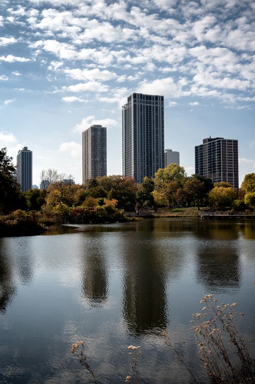Free Stunning fall reflection of Chicago's skyline in a serene lake setting. Stock Photo