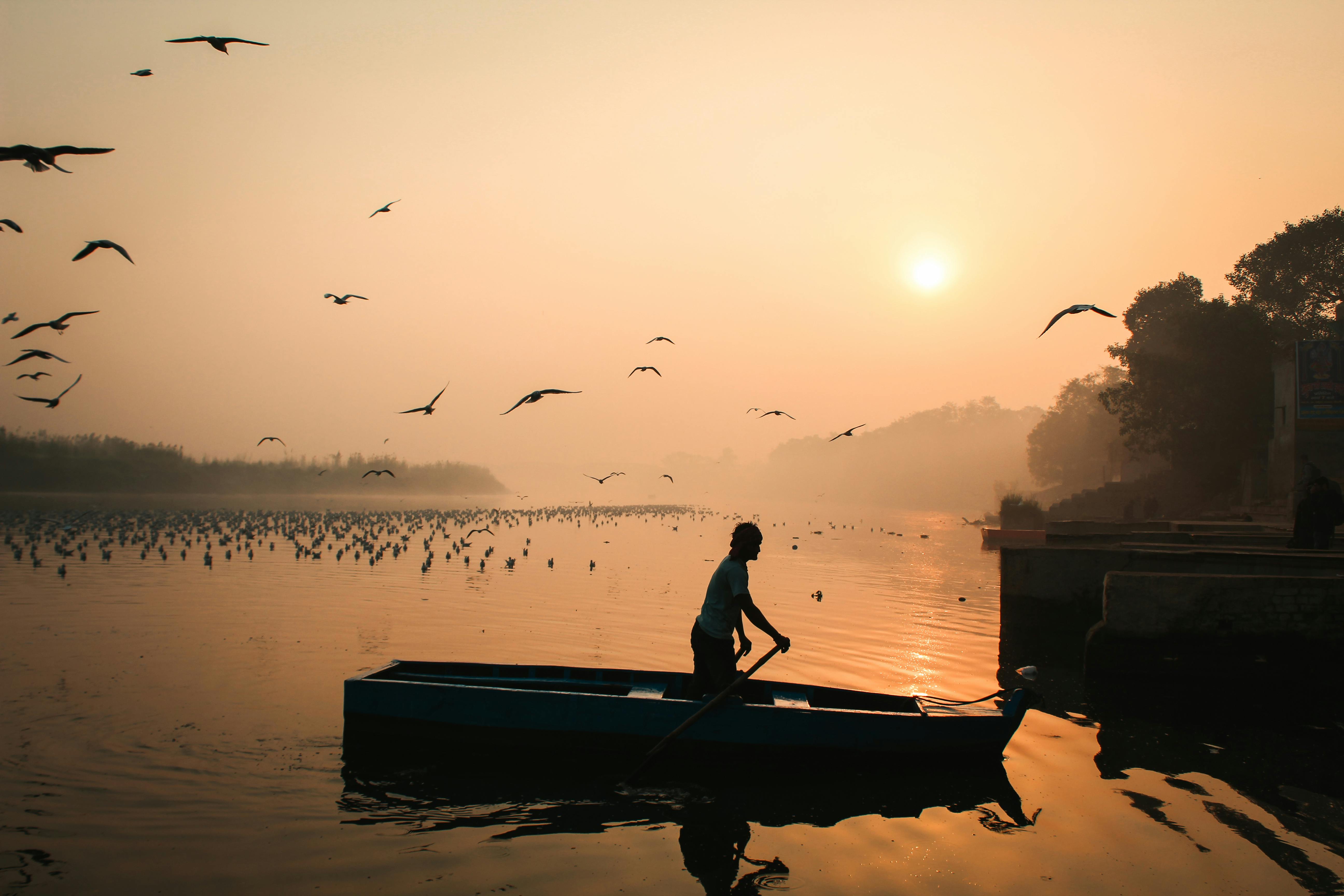 silhouette photography of person on a boat