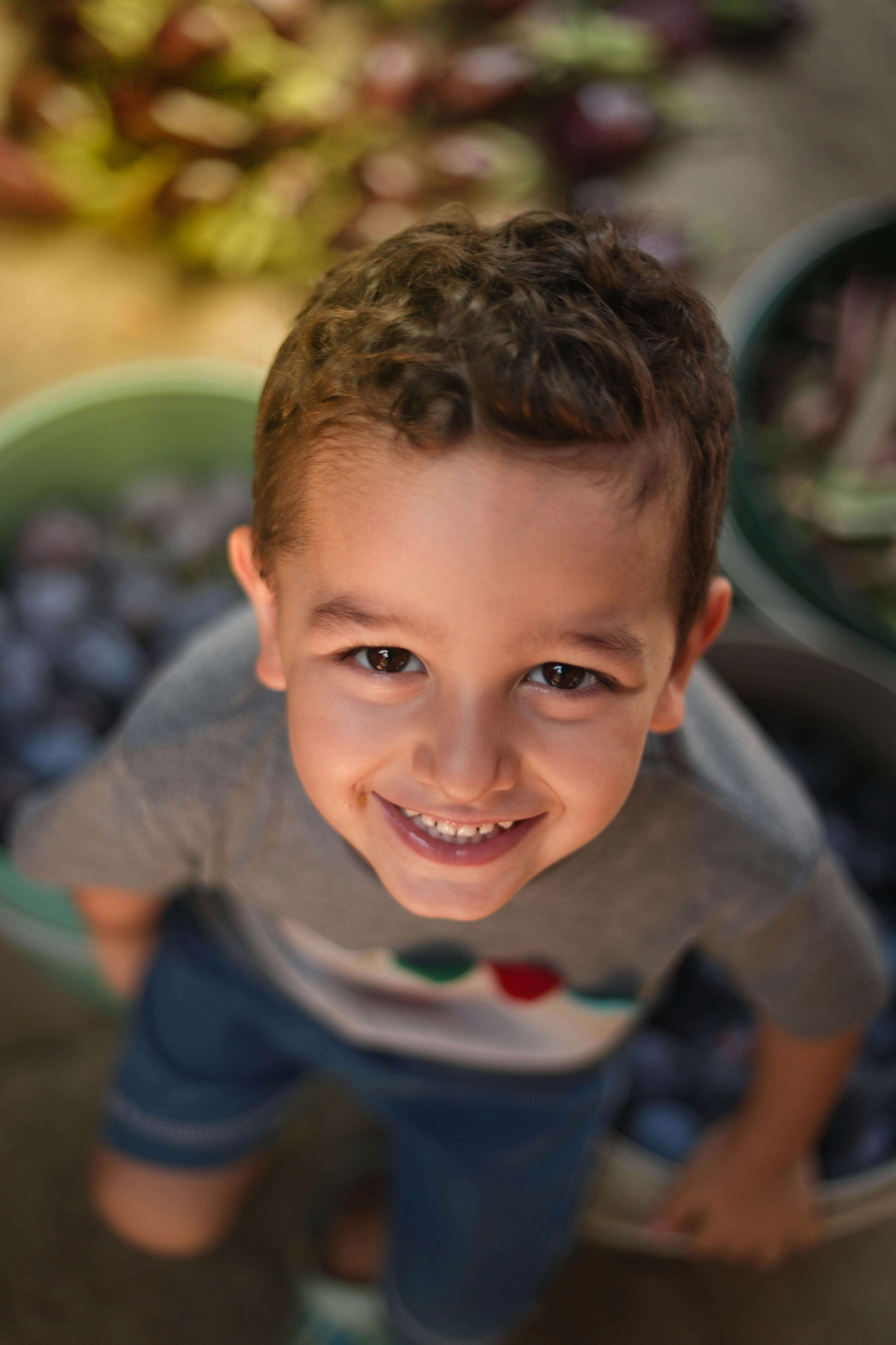 Ücretsiz çocuk, Erik, erkek stok fotoğrafı