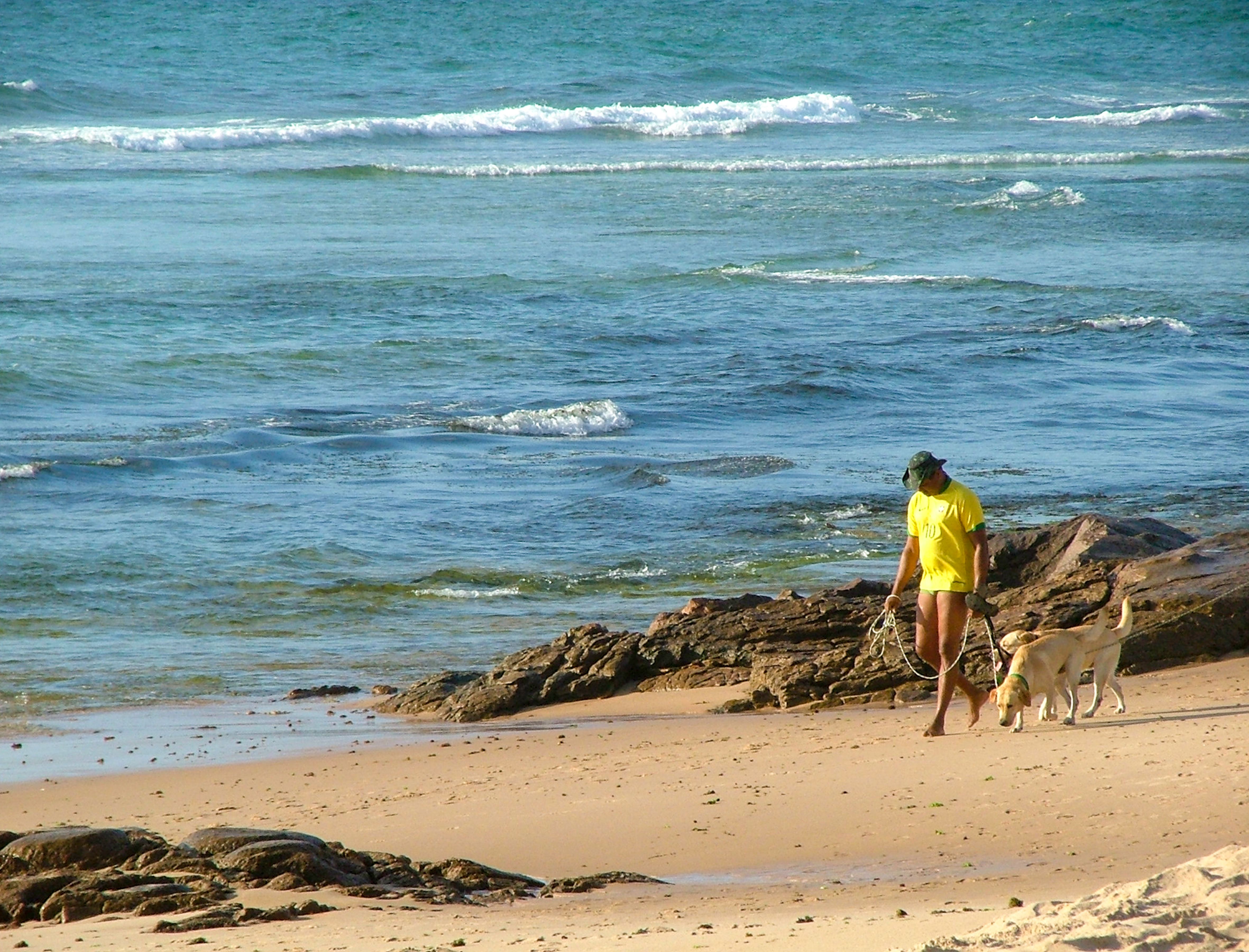 Dog-Friendly Townsville: Parks, Beaches and Walks for Dogs