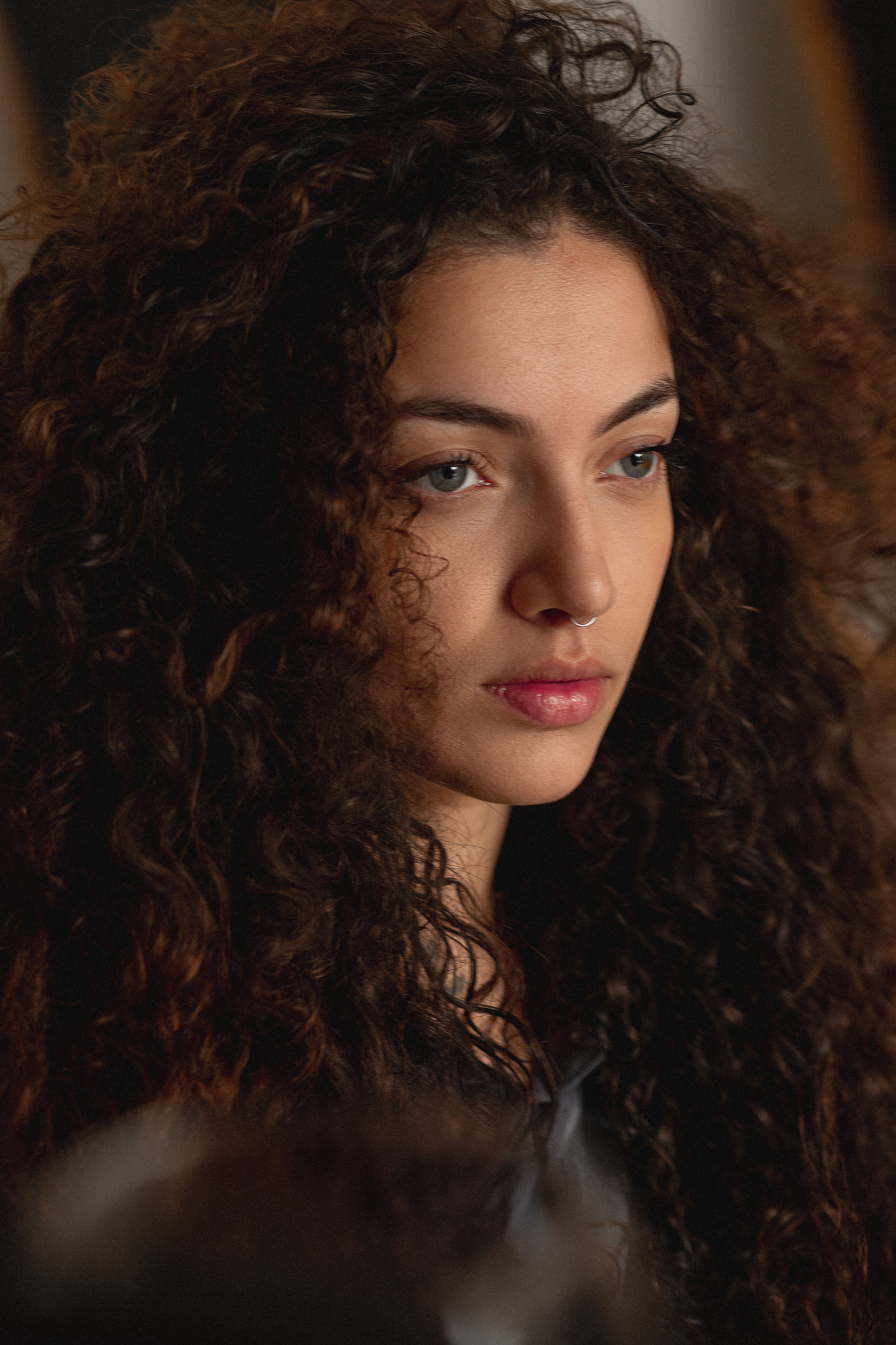 Portrait of a Woman with Curly Hair Indoors · Free Stock Photo