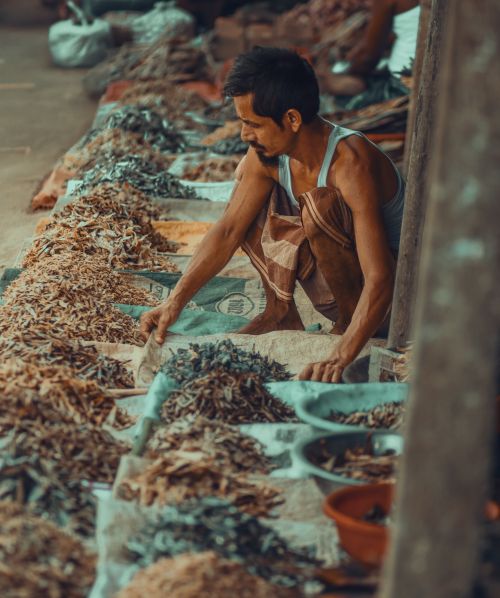 Free A man sorting dried fish at a traditional market in Bangladesh, displaying local culture. Stock Photo