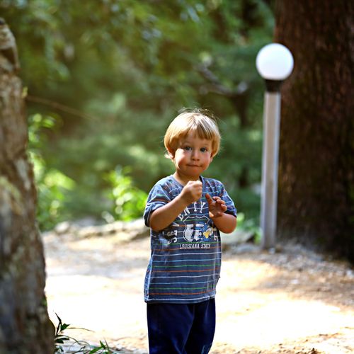 Free A young child in casual wear playing on a forest path during the day, surrounded by greenery. Stock Photo