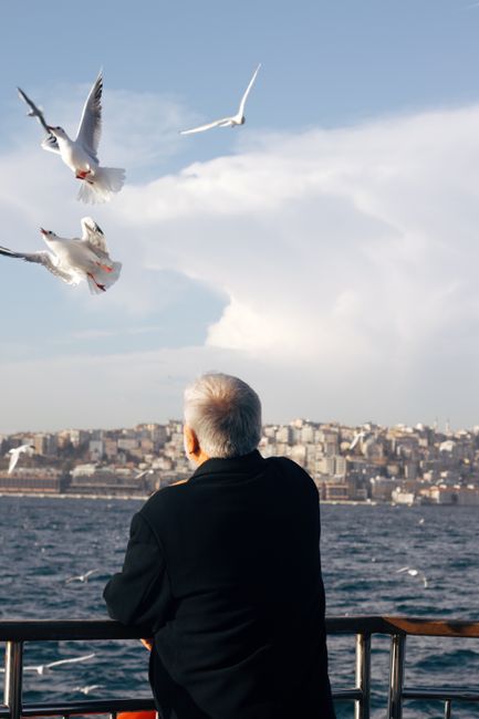 A senior observing seagulls flying over the Bosphorus Strait in Istanbul, Türkiye.