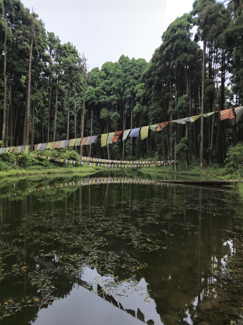 Free Serene view of Lamahatta Lake with tall pine trees and colorful prayer flags. Stock Photo