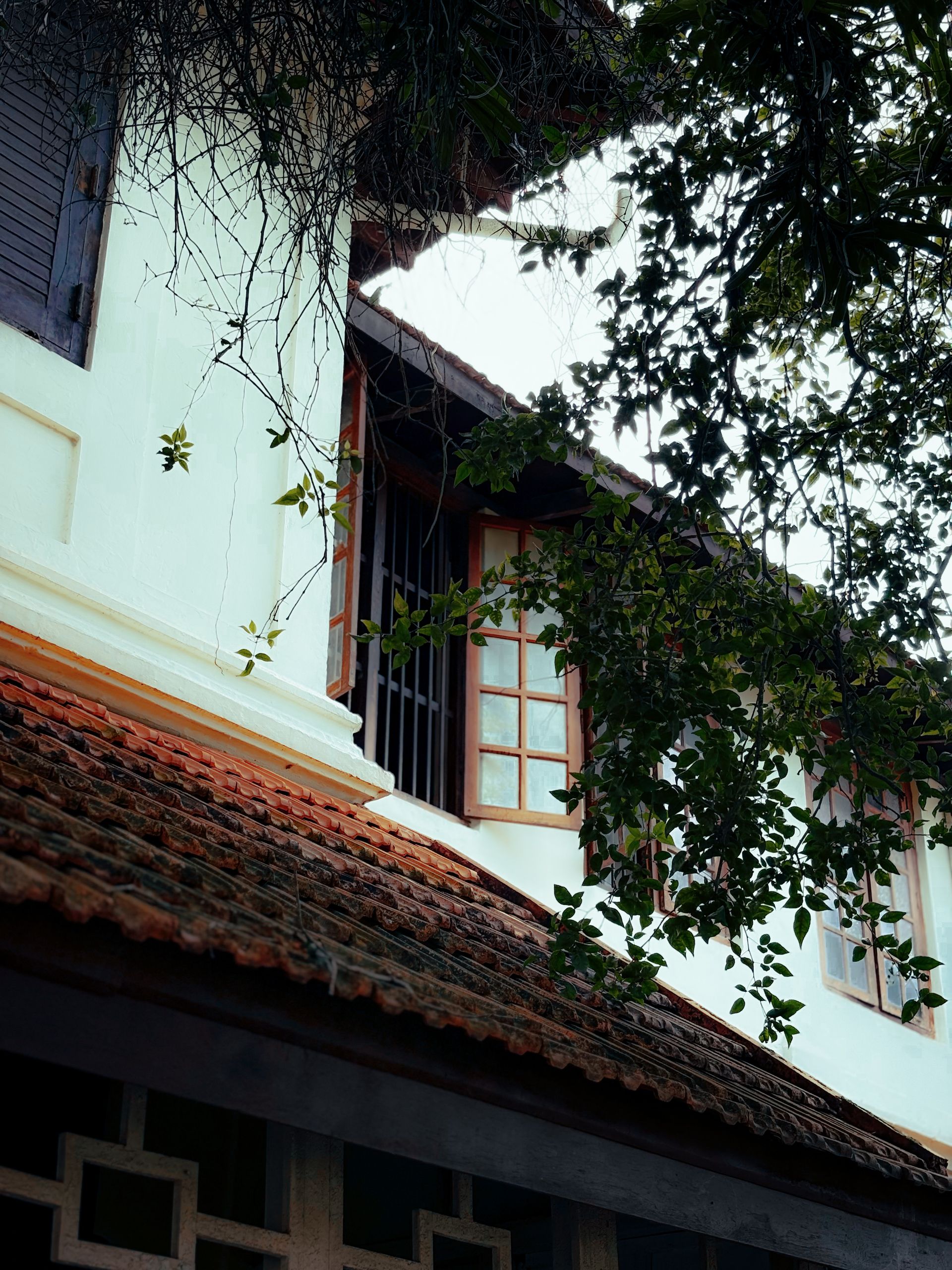 Traditional tiled-roof Kerala house wrapped in dense greenery