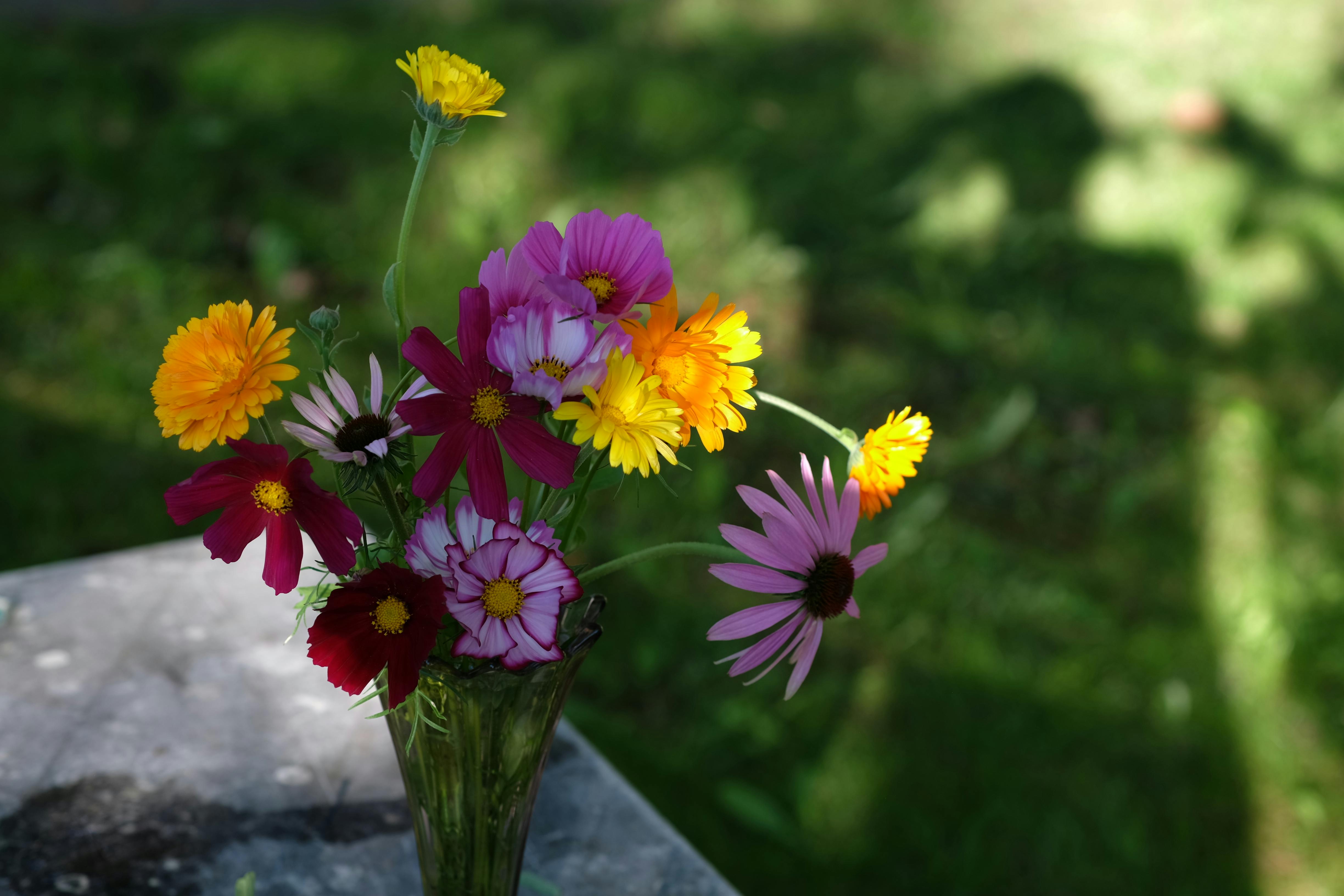 [ColoSach]-a-colorful-arrangement-of-wildflowers-in-a-green-vase-on-a-sunny-day.