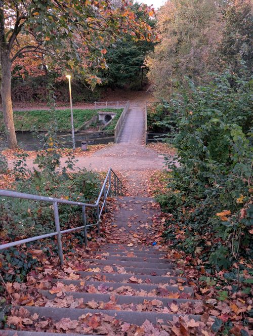 Free Scenic outdoor steps leading to a bridge surrounded by fall foliage. Stock Photo