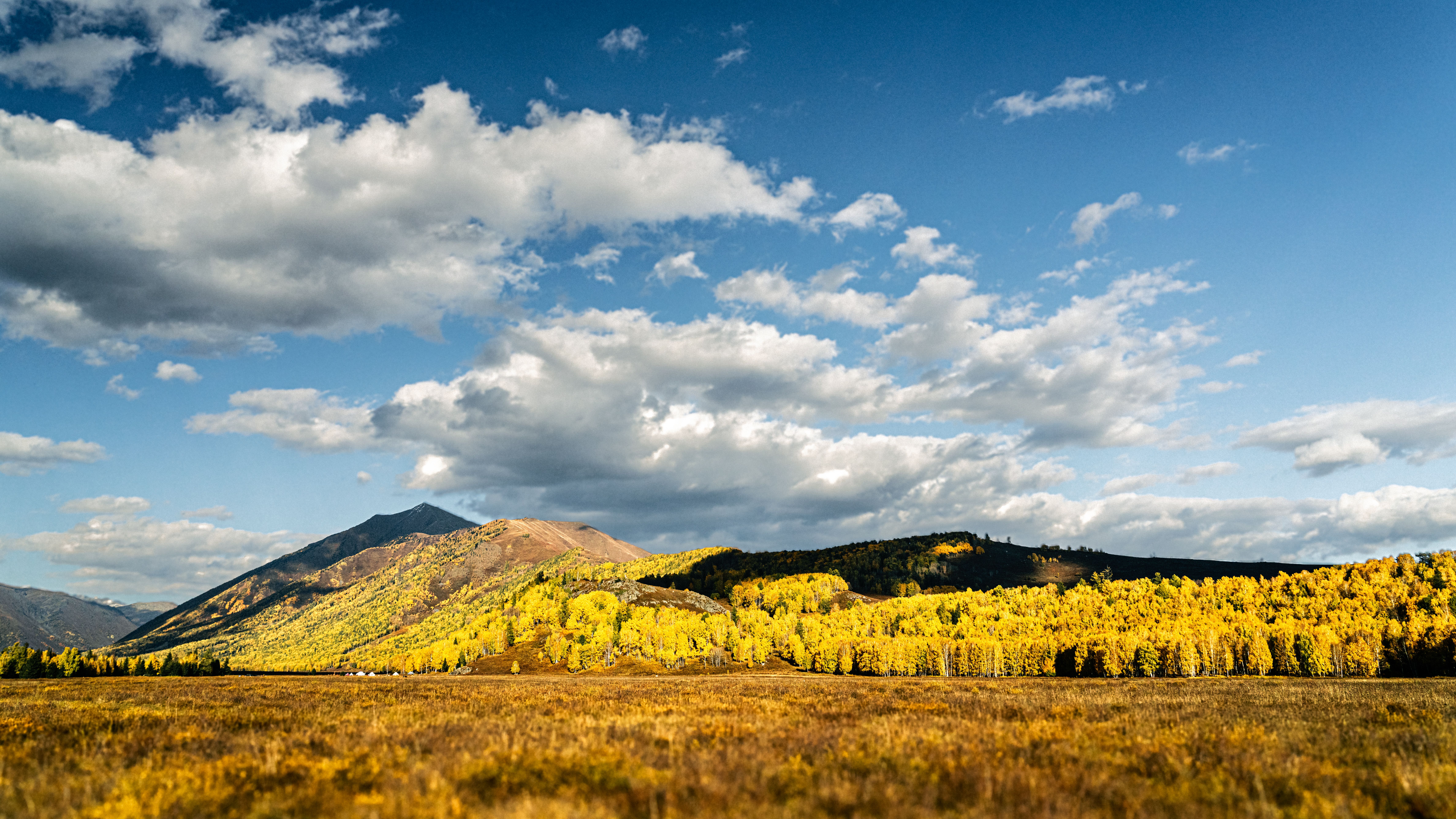 Autumn mountain landscape