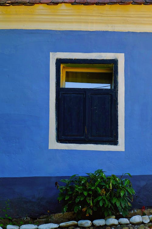 Ventana De Madera Cerrada