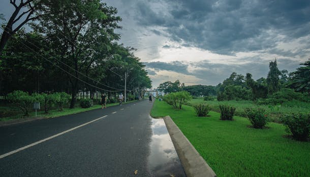 A peaceful scene of a road flanked by trees and grass, with people cycling and walking under a cloudy sky.