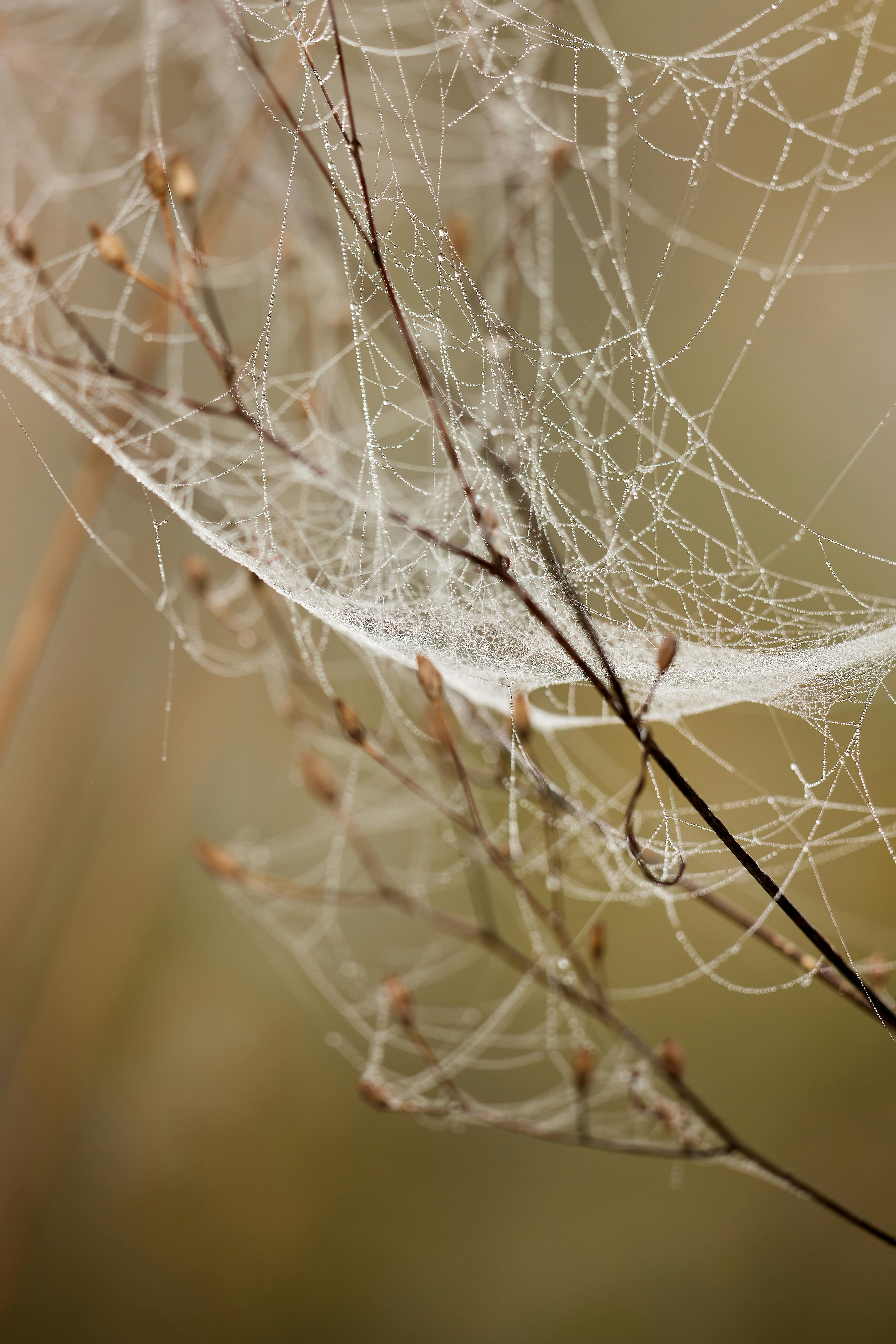 What Is The Recommended Way To Clean And Maintain The Electric Scooters Kickstand? What Is The Recommended Way To Clean And Maintain The Electric Scooters Kickstand?