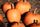 pumpkins