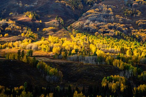 Free Vibrant autumn trees on rolling mountains with dramatic lighting. Stock Photo