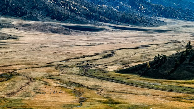 A vast mountain valley showcasing the unique terrain and autumn colors in Kazakhstan.