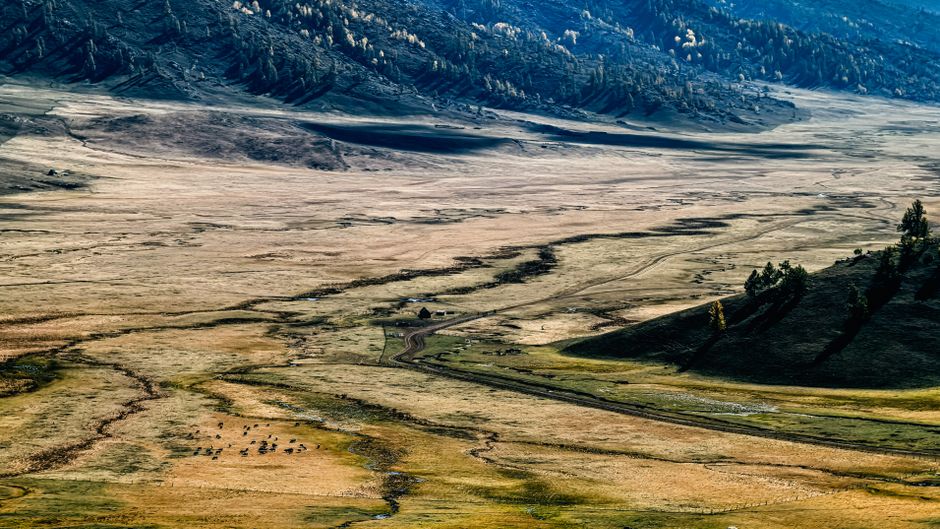 Immigrer en Kazakhstan après 40 ans : quelles options ?