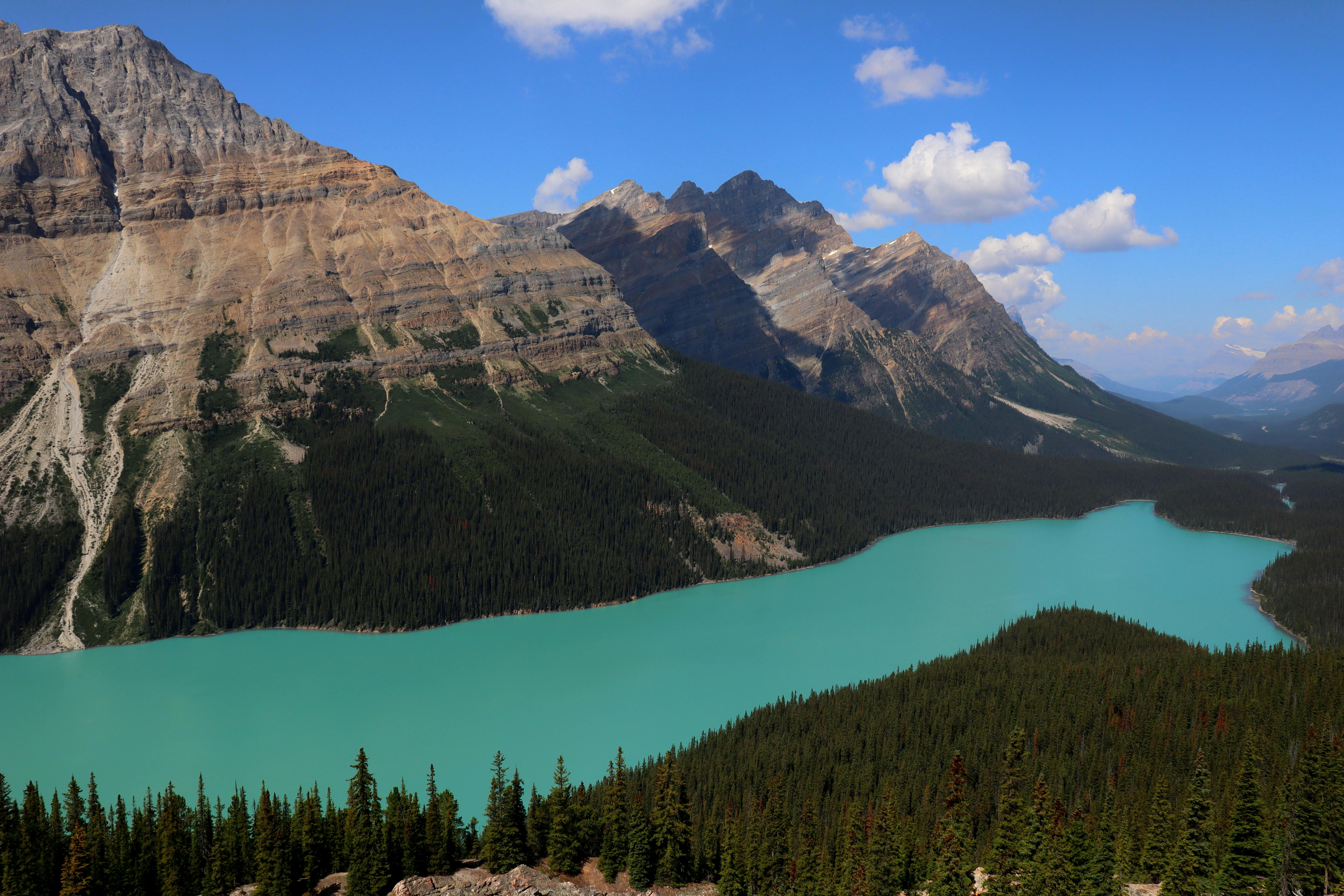 Breathtaking view of turquoise Peyto Lake surrounded by mountains in Banff National Park.