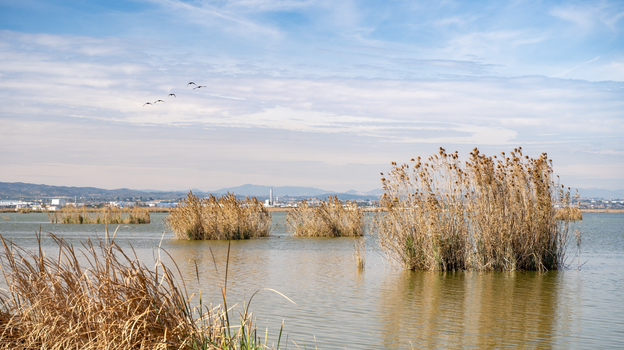 Albufera boat at sunset — Valencia