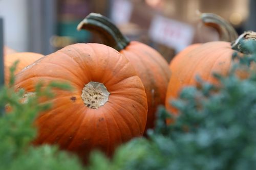 Free Close-up of vibrant orange pumpkins at a local market in Jönköping, Sweden. Perfect for autumn décor. Stock Photo