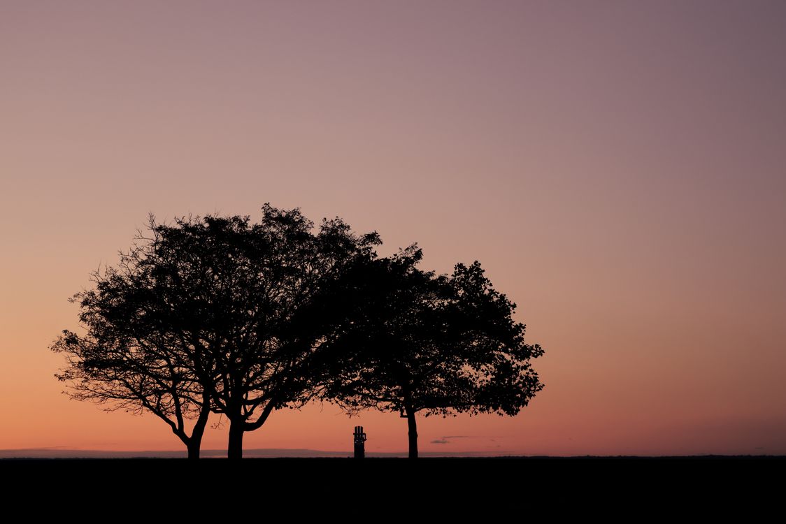 Free Peaceful autumn sunrise with silhouetted trees at Cove Island Park in Stamford, Connecticut. Stock Photo