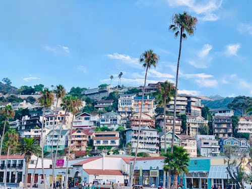 Photo Of Buildings During Daytime