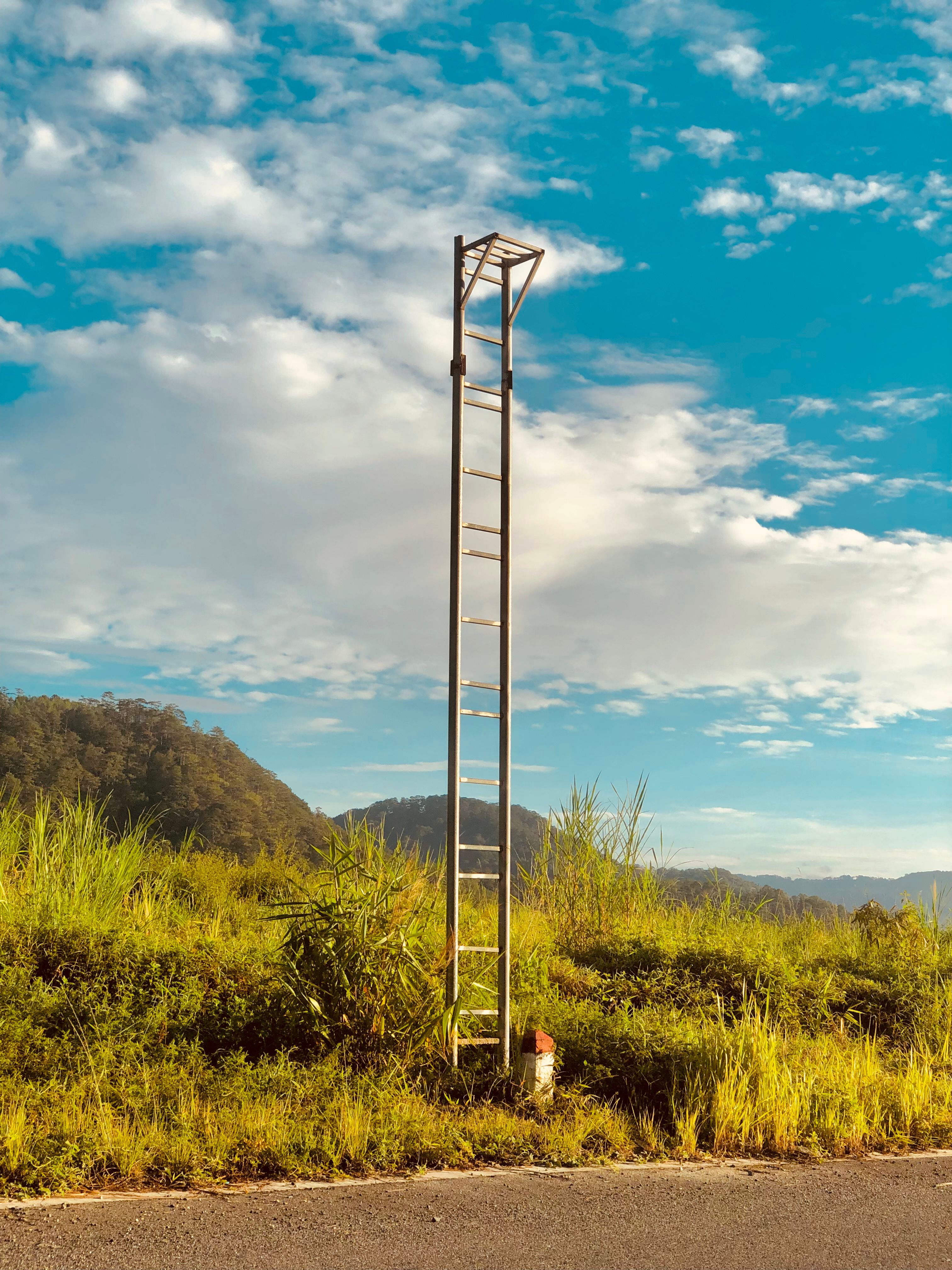 A solitary metal ladder stands amidst a verdant landscape under a bright blue sky.