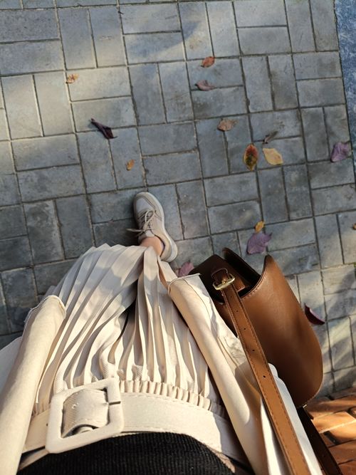 Free A stylish woman seen from above walking on a paved street with autumn leaves. Stock Photo