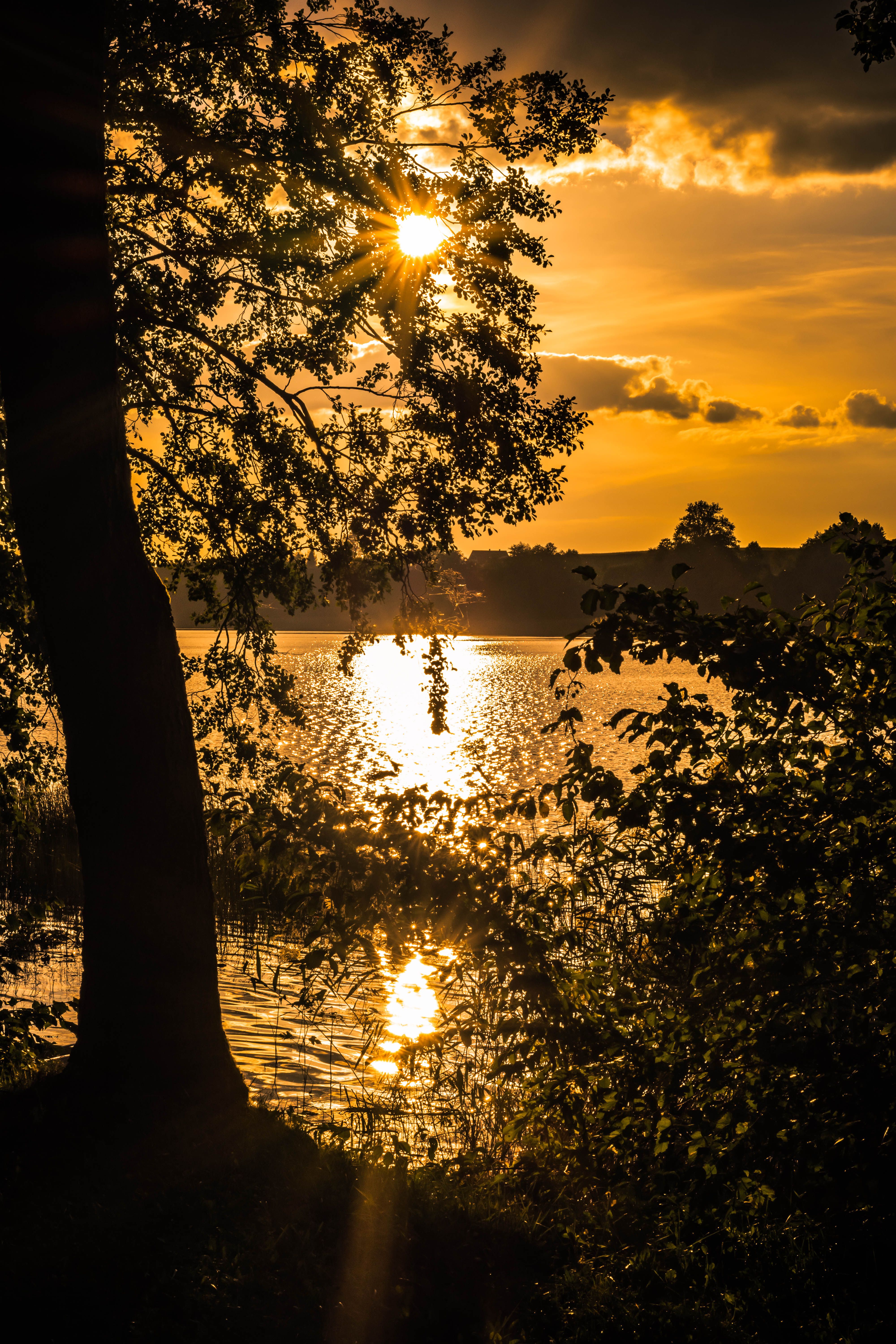 Golden Sunset Over Serene Lakeside Landscape · Free Stock Photo