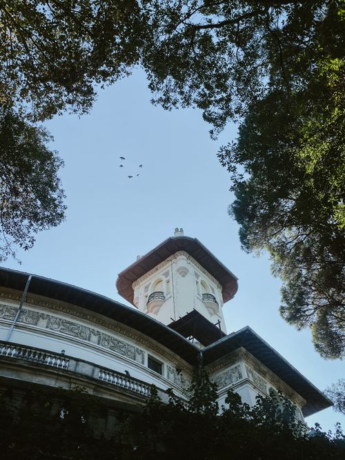 Free A historic architectural tower seen through a frame of trees with a clear blue sky. Stock Photo