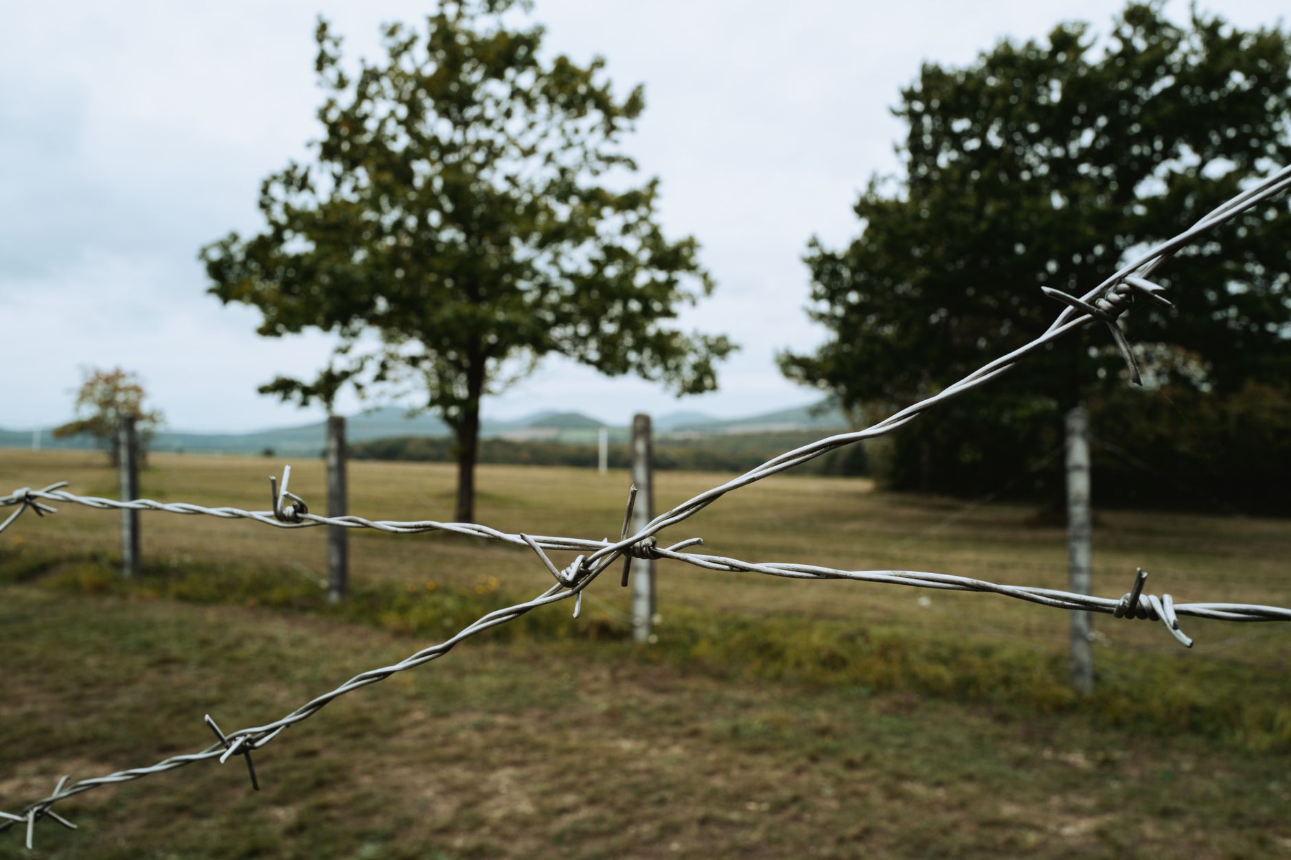 Barbed Wire Fence in Rural Thüringen Landscape