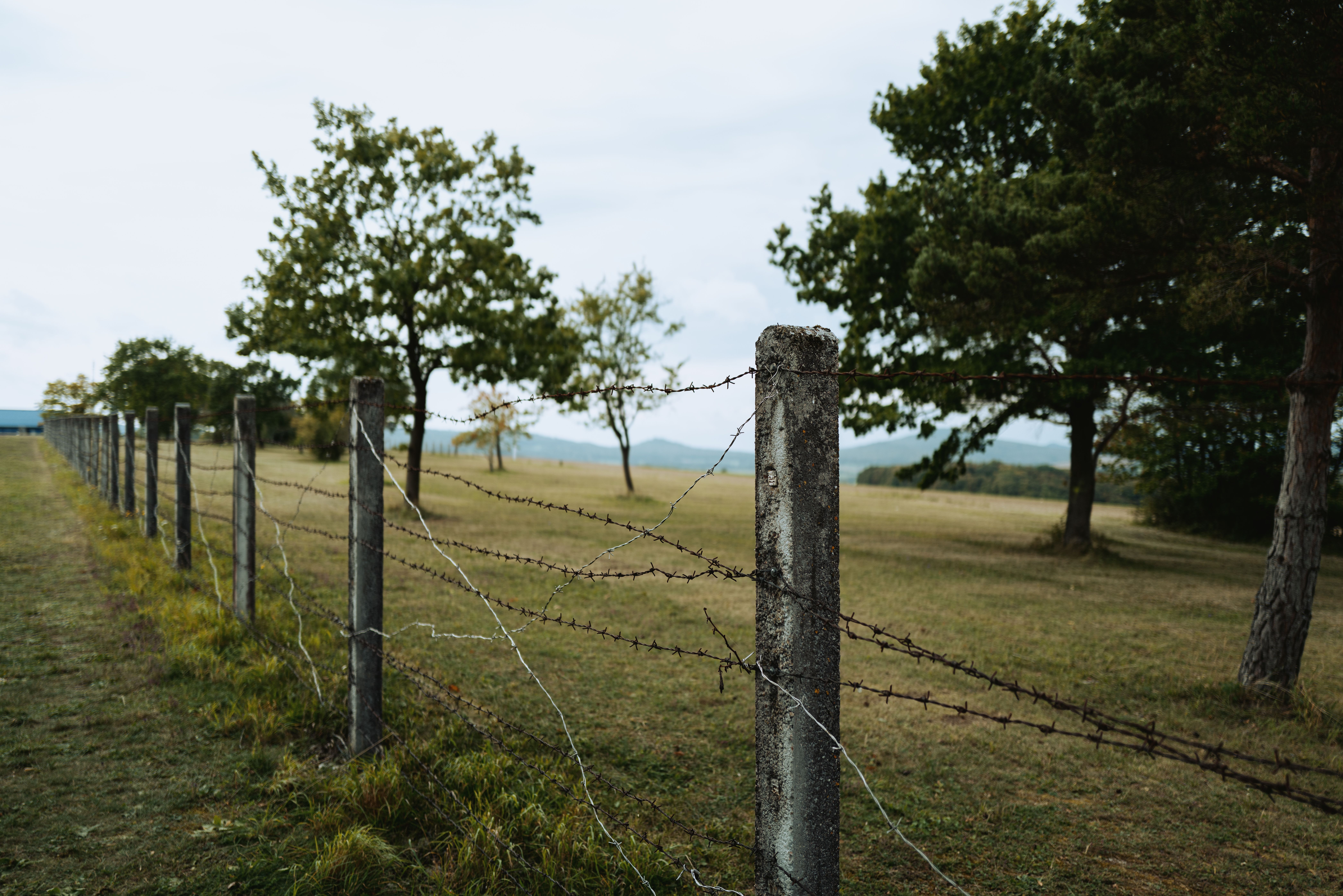 Barbed wire fence and trees in a rural landscape near Geisa, Thüringen, Germany.