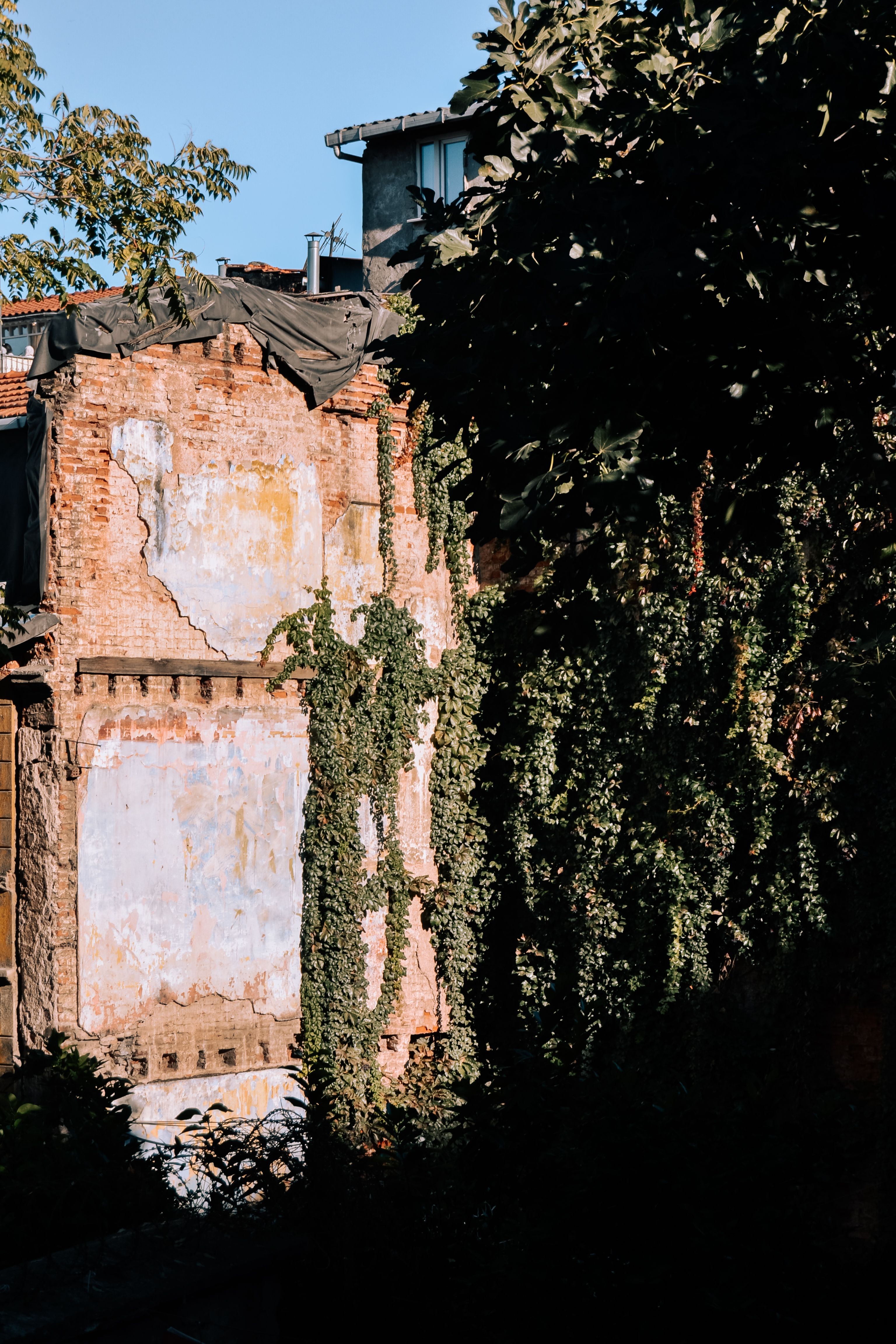 Abandoned Brick Building with Overgrown Ivy · Free Stock Photo