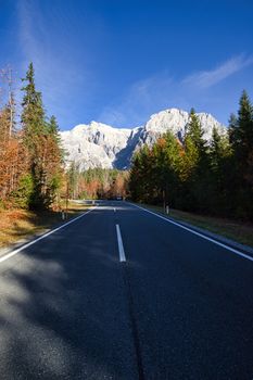 A picturesque road leads through a vibrant autumn forest towards majestic mountains.