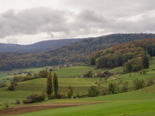 Free Beautiful view of rolling green hills with autumn foliage under a cloudy sky. Stock Photo
