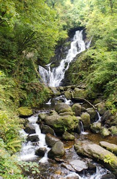 Explore the serene beauty of Torc Waterfall in Killarney's lush green forest.