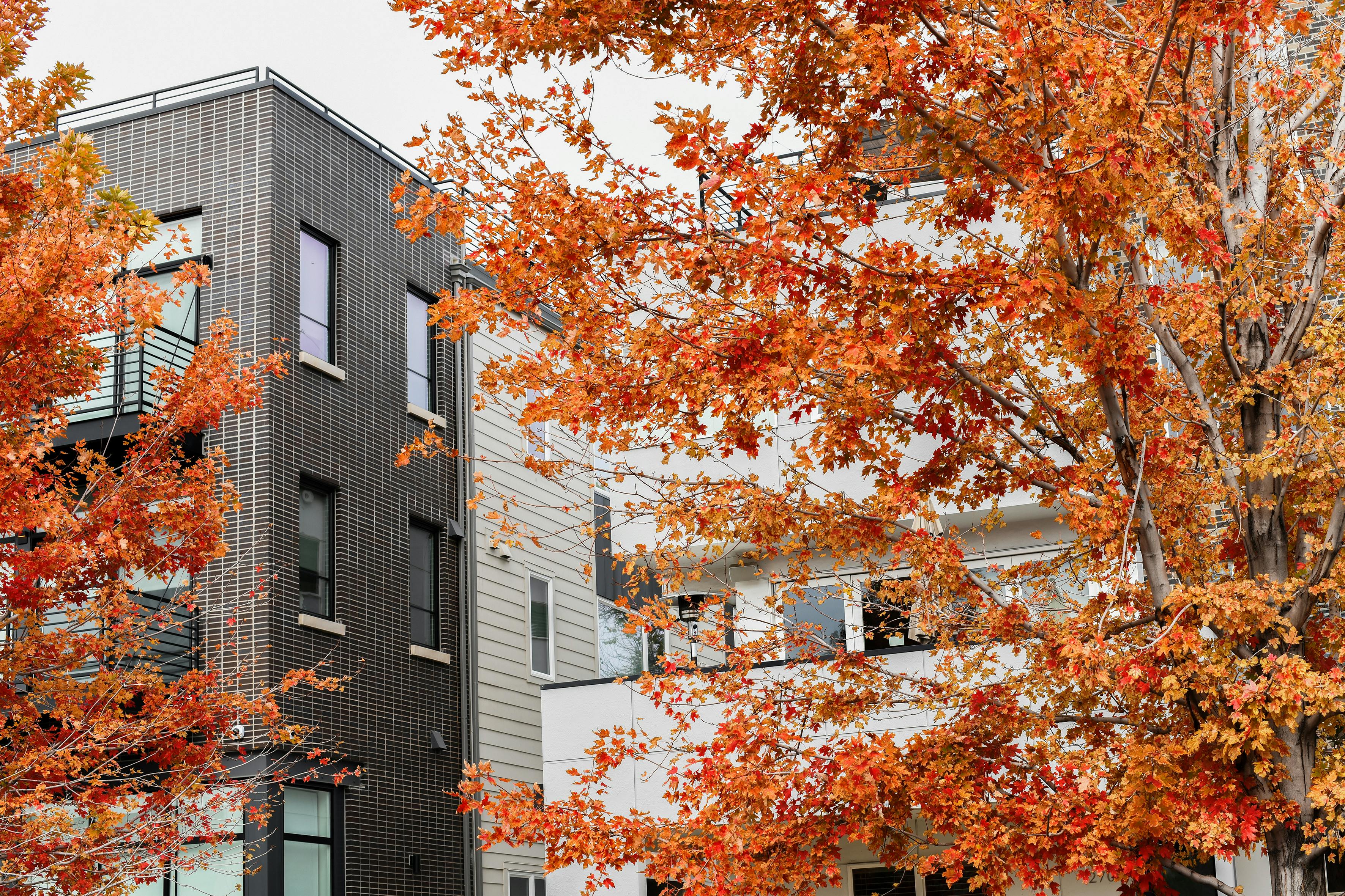 Navigating HOA Rules: Considerations for Real Estate Agents, Buyers and Sellers — Photo by MINEIA  MARTINS on Pexels