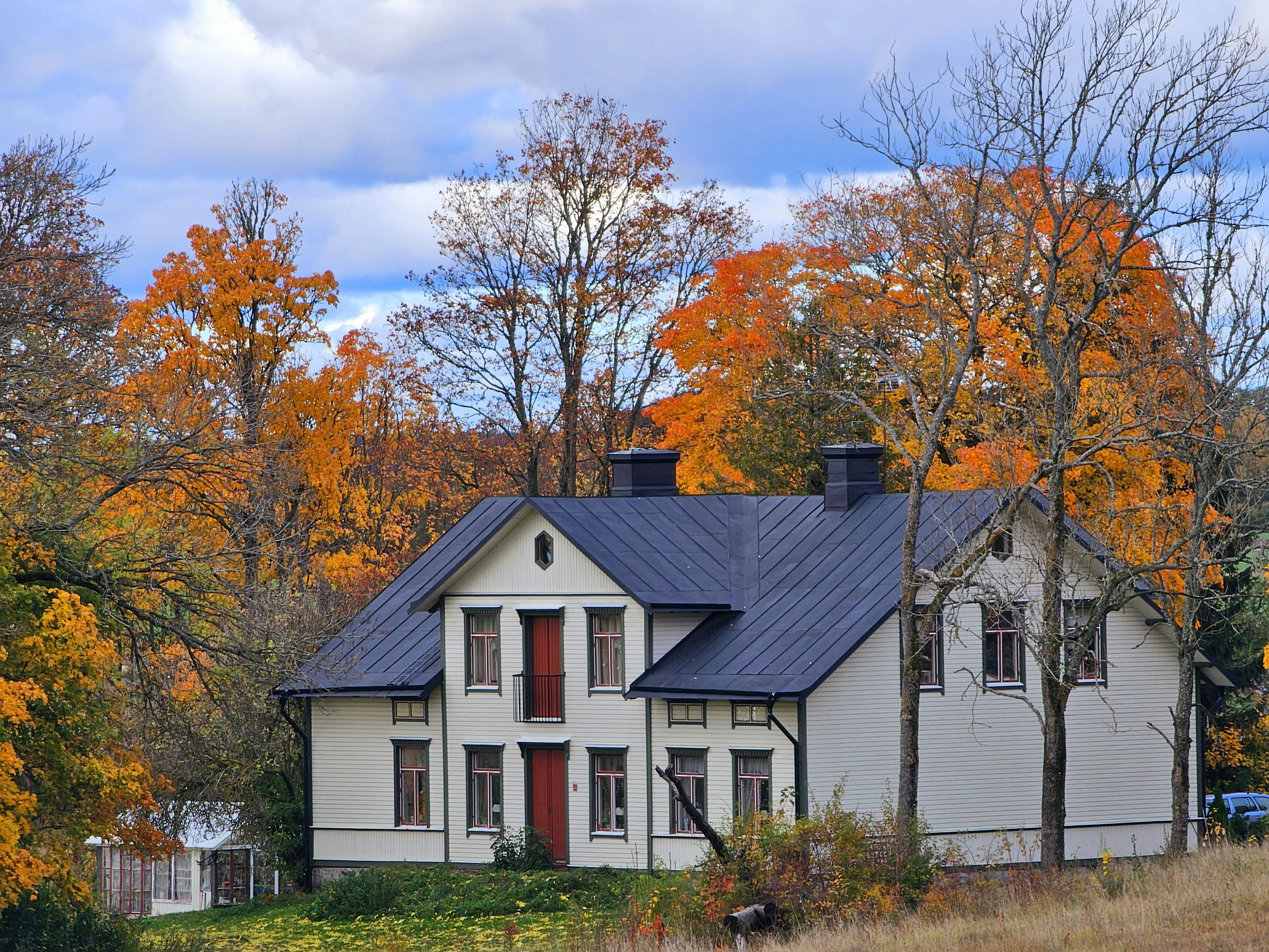Charming House in Autumn Forest Setting