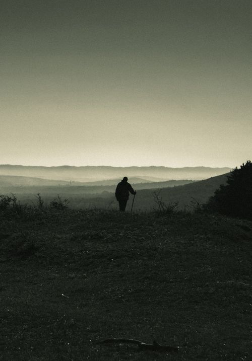 Free Lonely hiker silhouetted against mountain landscape with walking stick. Stock Photo