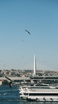 Seagulls soaring over a contemporary bridge with a vibrant cityscape in the background.