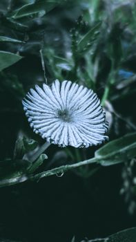 Image by Colour Zony